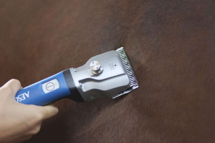 AESCULAP Aesculap Akkuschermaschine Bonum